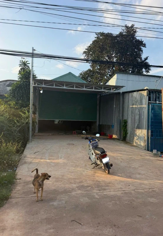 Bán đất mặt tiền Quốc lộ 14 Tân Thành, 73,800m²