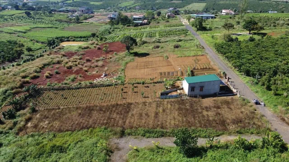 Bán đất 200m2, 2 mặt tiền, gần Đambri, Lâm Đồng - Ảnh thu nhỏ 3
