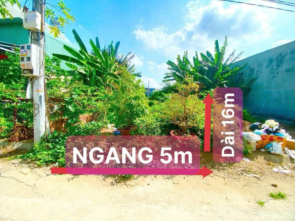Bán lô đất hẻm Cần Giuộc Long An 80m² 1 tỷ 650 - Ảnh 1