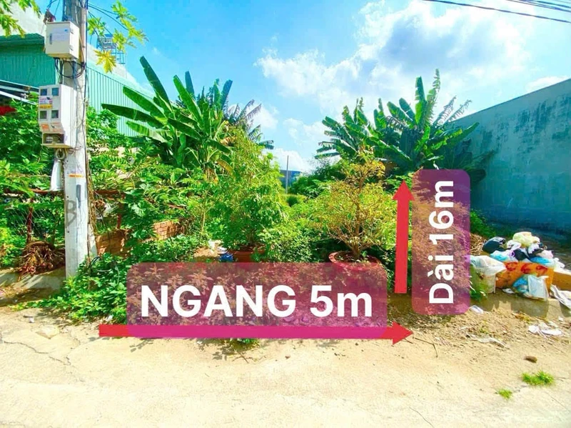 Bán lô đất hẻm Cần Giuộc Long An 80m² 1 tỷ 650