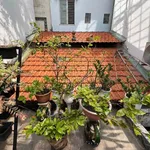 Bán nhà hẻm xe hơi trục Cách Mạng Tháng Tám, Quận 3, 72m2, hơn 12 tỷ - Ảnh thu nhỏ 4