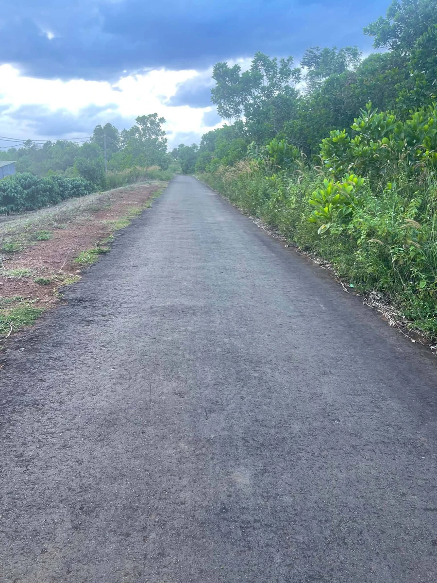 Bán đất 8 xào Quảng Trực, Lâm Đồng - Ảnh 1