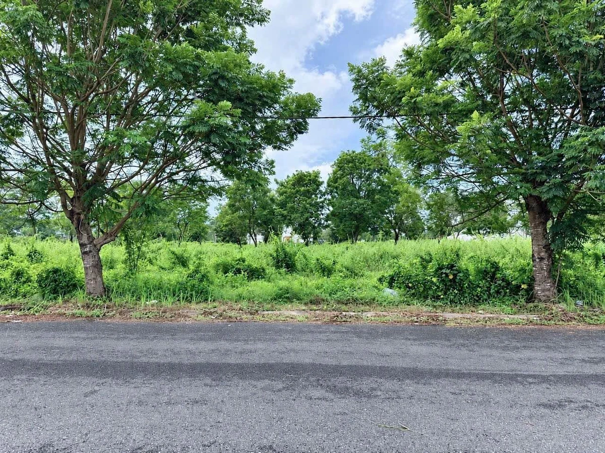 Bán đất thổ cư 7,2x21,5m đường số 4 khu Đồng Tâm Green City, phường Long An, Tây Ninh - Ảnh thu nhỏ 3