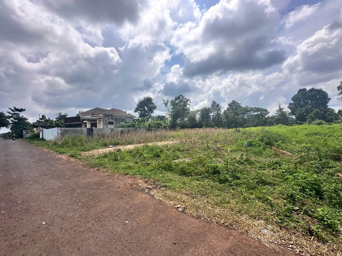 Bán lô đất mặt tiền đường nhựa 8m gần 1.500m2 tại Buôn Tăng Ju, Ea Kao, Buôn Ma Thuột - Ảnh thu nhỏ 3