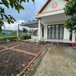 Bán nhà vườn Tân Trụ, Long An - 2PN - 283m² - 2 tỷ - Ảnh thu nhỏ 2