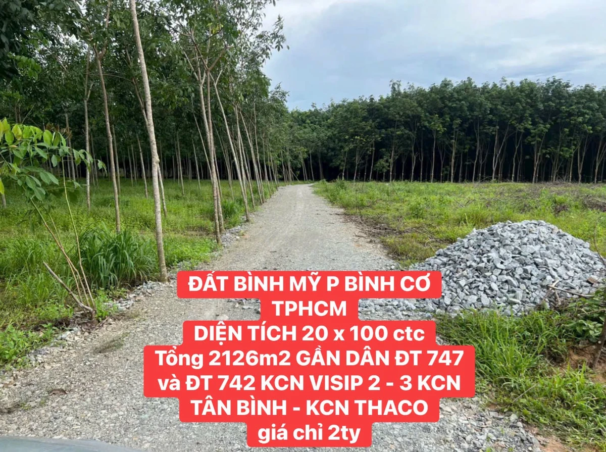 Bán đất Bình Mỹ 2126 m² gần KCN VISIP - Ảnh 1