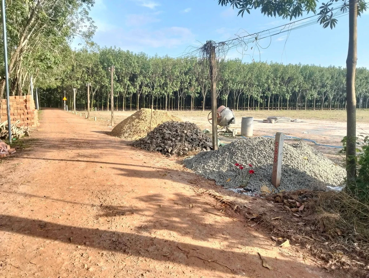 Bán đất thổ cư 5x92m giá 250 triệu tại Châu Thành, Tây Ninh - Ảnh thu nhỏ 2