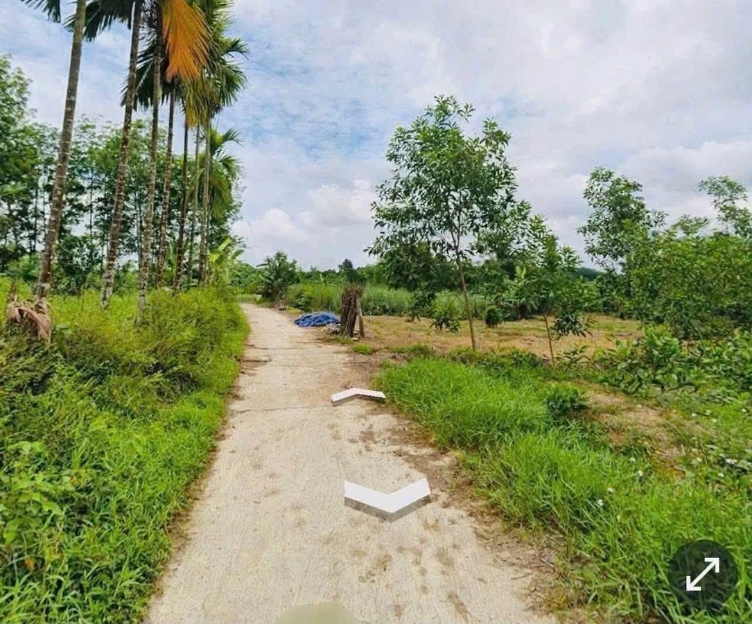 Bán 1200m² đất trồng cây lâu năm Huế - 139 triệu - Ảnh thu nhỏ 2