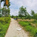 Bán 1200m² đất trồng cây lâu năm Huế - 139 triệu - Ảnh thu nhỏ 2
