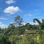Bán đất 4500m² gần cầu Bà Dần, sân bay Bình Minh, giá 4.5 tỷ - Ảnh thu nhỏ 4