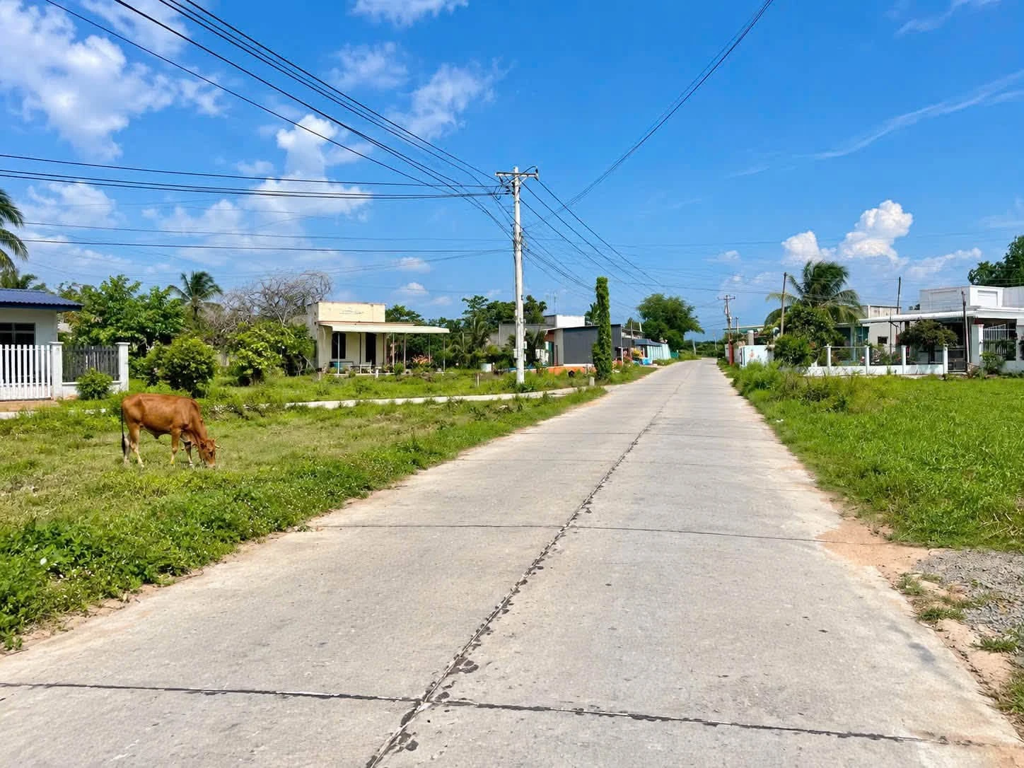 Bán lô đất 1094m2 thôn Bình An, Lâm Đồng - Ảnh 1