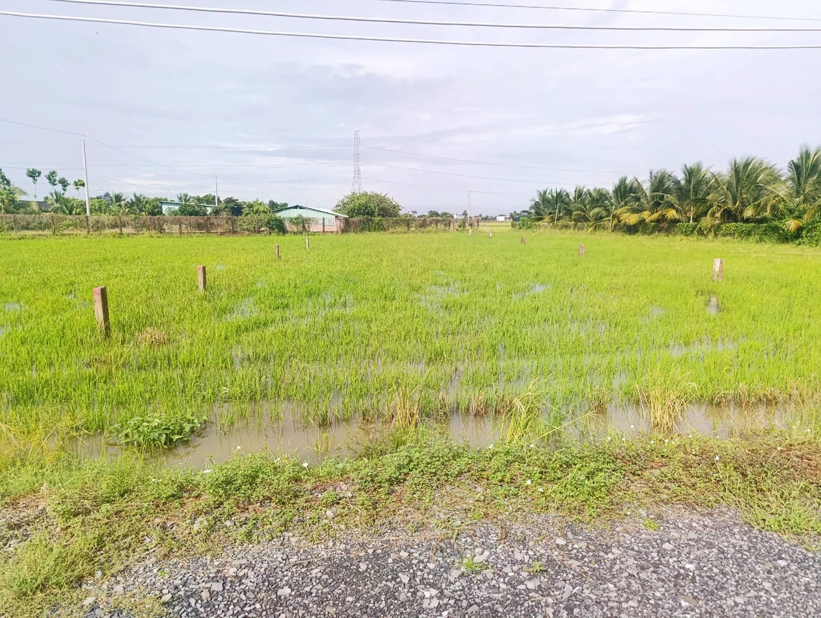 Bán đất 1.000m2 thổ cư tại Lạc Tấn, Tân Trụ, Long An - Ảnh thu nhỏ 4