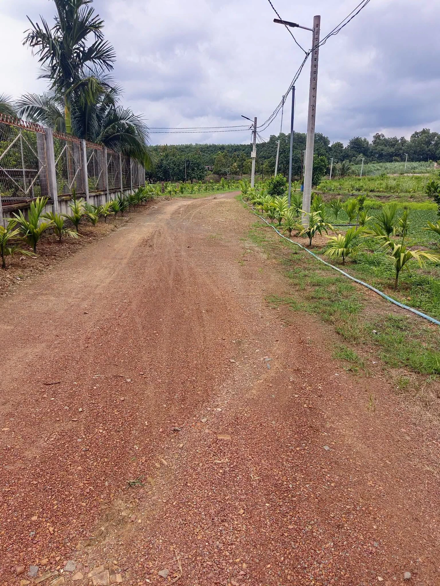 Bán nhà 4 tầng phân lô Quân đội 45m² 11 tỷ Thủ Đức nguyenthaison - Ảnh 1
