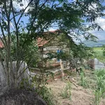 Bán 1 hecta đất tại huyện M'Đrăk, tỉnh Đắk Lắk - Ảnh thu nhỏ 1