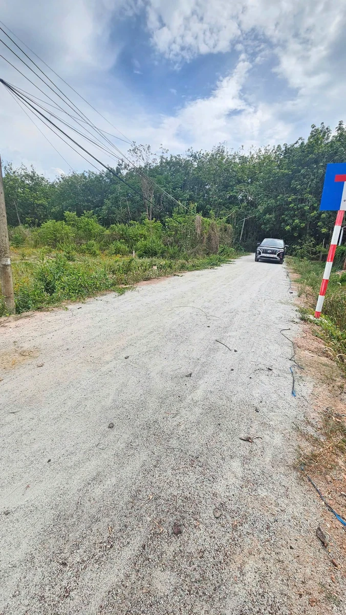 Bán đất thổ cư 5x24m Phước An Tây Ninh 3xx triệu - Ảnh thu nhỏ 5
