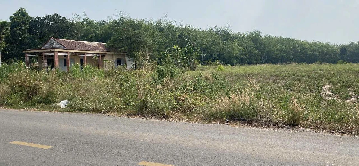 Bán đất Bàu Bàng Bình Dương 23.500m² 20 tỷ - Ảnh thu nhỏ 2