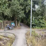 Bán đất vườn 3 mặt tiền 6364m2 Tây Ninh 5 tỷ 100 triệu - Ảnh thu nhỏ 3