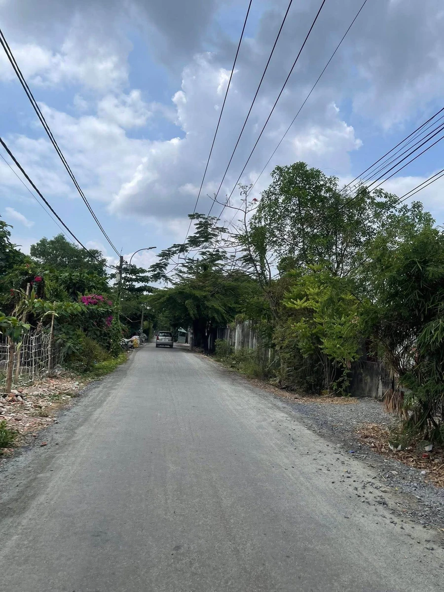 Bán 1300m² đất trồng cây Bình Hưng Bình Chánh 8,5 tỷ - Ảnh thu nhỏ 5