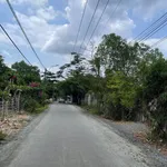 Bán 1300m² đất trồng cây Bình Hưng Bình Chánh 8,5 tỷ - Ảnh thu nhỏ 5