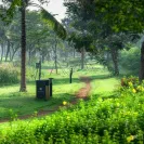Biệt thự đơn lập (Giỏ hàng CĐT) - 3 tầng - Giá 10,3 tỷ - "TT 24Tháng" Nagomi Waterpoint - Ảnh thu nhỏ 24