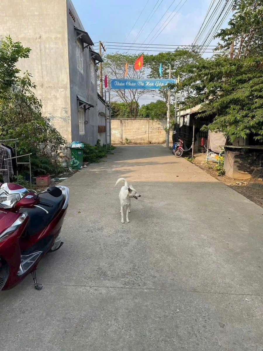 Bán đất 190m² Phước Tân, Bình Dương, giá 1 tỷ 650 triệu - Ảnh 1