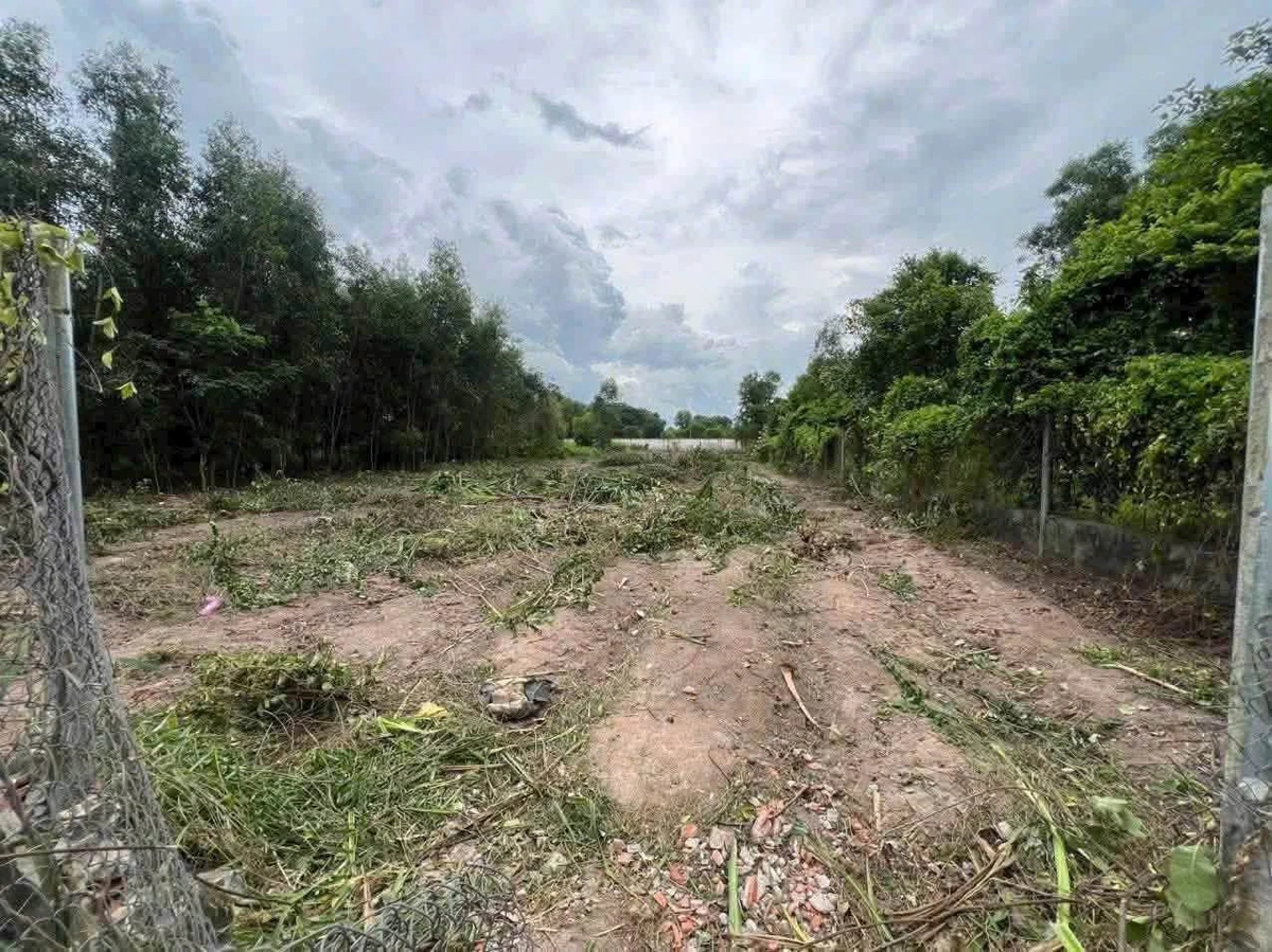 Bán đất 1.400m² sân vườn Hòa Thành, Hóc Môn - Ảnh thu nhỏ 2