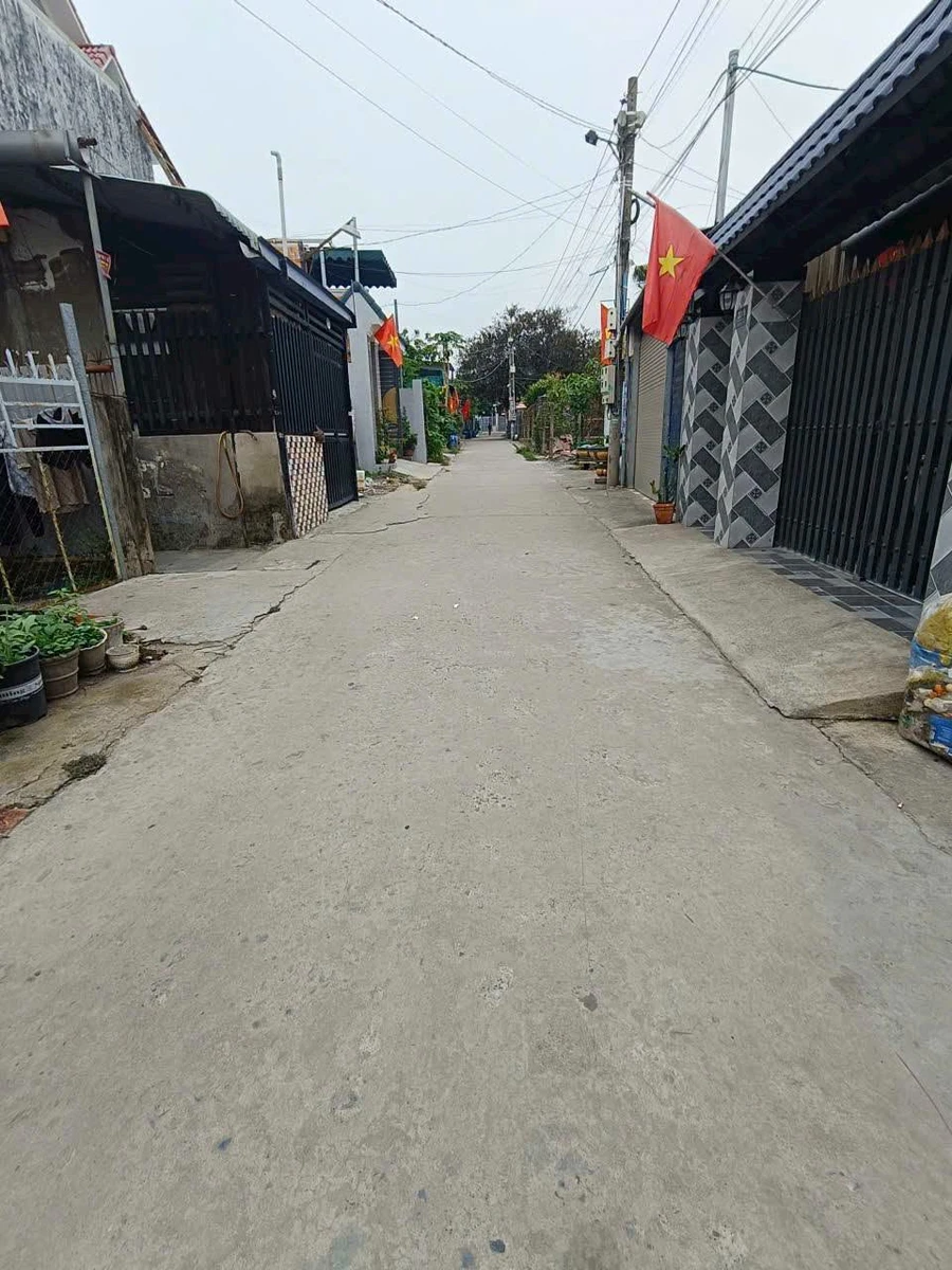 Bán lô đất sổ riêng 125m² tại Thạnh Phú, Đồng Nai, giá 1,6 tỷ - Ảnh thu nhỏ 2