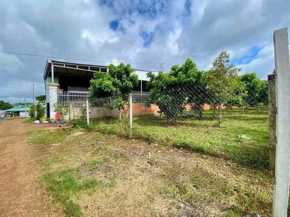 Bán đất hẻm 177 Nguyễn Đình Chiểu, 1 sào, 2,9 tỷ, Bảo Lộc - Ảnh thu nhỏ 3