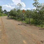 Bán đất Ngãi Giao Nhà Bè 1000m2 giá 1 tỷ 450 triệu - Ảnh thu nhỏ 2