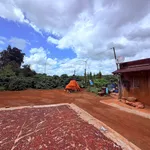Bán nhanh vườn cà phê 2 hecta, sản lượng 8-9 tấn, Gia Lai - Ảnh thu nhỏ 2