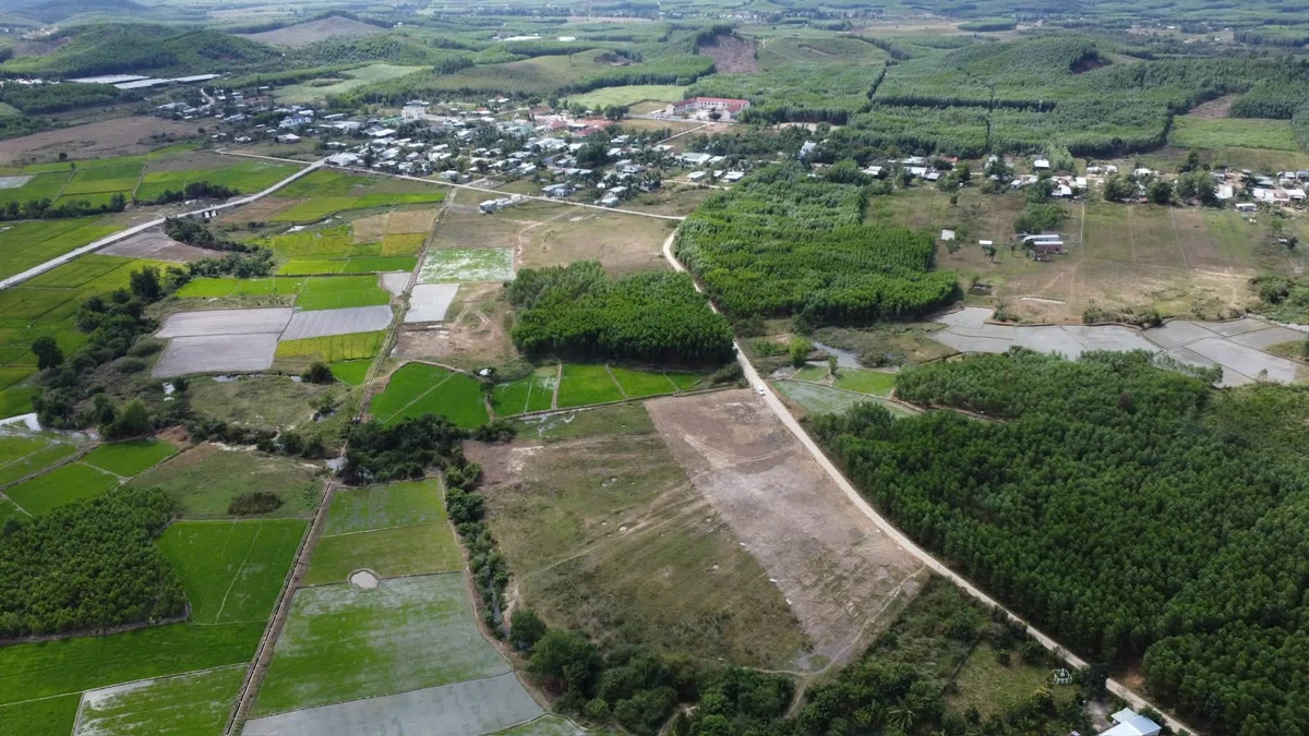 Bán lô đất làm vườn 8685m2 Khánh Hiệp, Khánh Hòa - Ảnh thu nhỏ 3
