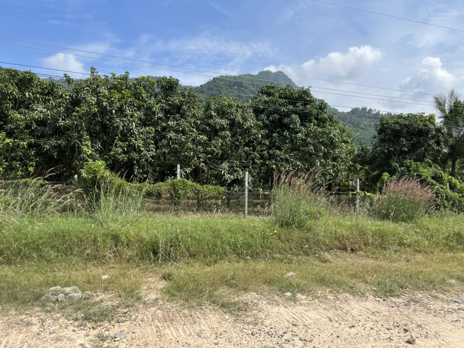 Bán 9500m vuông đất trồng CLN, quy hoạch lên đất ONT, sổ hồng riêng, chính chủ - Ảnh 1