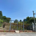 Bán đất 264m2 Hòa Lợi, Bến Cát, Bình Dương giá 3,2 tỷ - Ảnh thu nhỏ 3