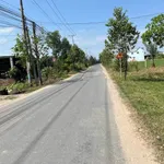 Bán lô đất mặt tiền Lục Viên 551.5m2, Long An - Ảnh thu nhỏ 2