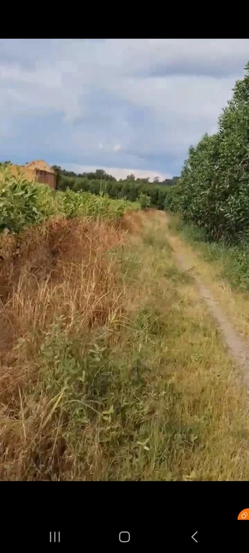 Bán đất 4 sào (4000m²) 550 triệu Xuân Lộc