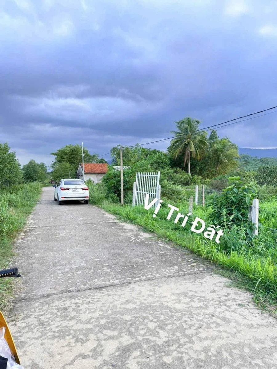 Bán đất 5x41m Khánh Hoà, sổ sẵn gần TL8 - Ảnh thu nhỏ 2