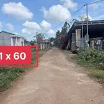 Bán đất 11x60m thổ cư 60m2 giá 990 triệu tại Buôn Tăng Jú, Phường Ea Kao, Đắk Lắk - Ảnh thu nhỏ 1