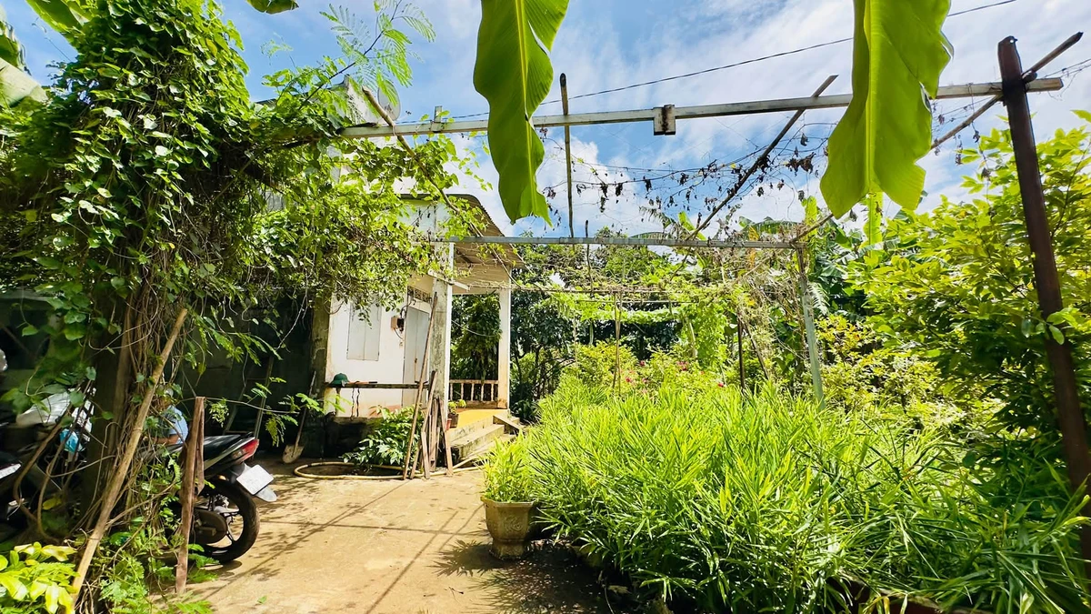 Bán nhà 2 phòng ngủ Hưng Thịnh Đồng Nai 1.386m² - Ảnh thu nhỏ 4