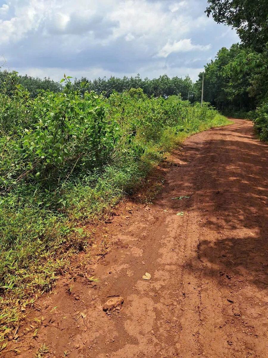 Bán đất 24000m² Nghĩa Trung Đồng Nai 120 triệu - Ảnh thu nhỏ 2