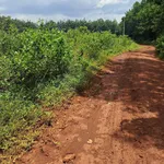 Bán đất 24000m² Nghĩa Trung Đồng Nai 120 triệu - Ảnh thu nhỏ 2