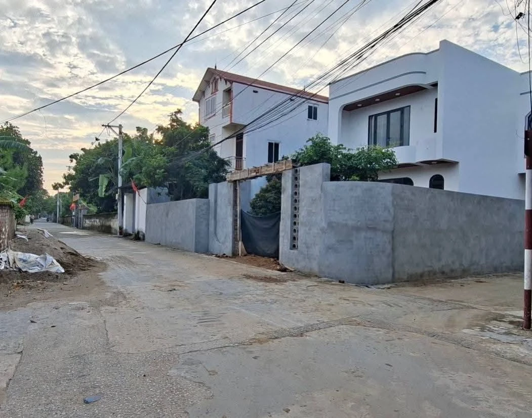 Bán đất thổ cư 85m² mặt tiền Sóc Sơn - Ảnh thu nhỏ 3