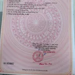 Bán đất 225m2 gần KDC Đại Nam, Bình Chánh giá 399 triệu - Ảnh thu nhỏ 4