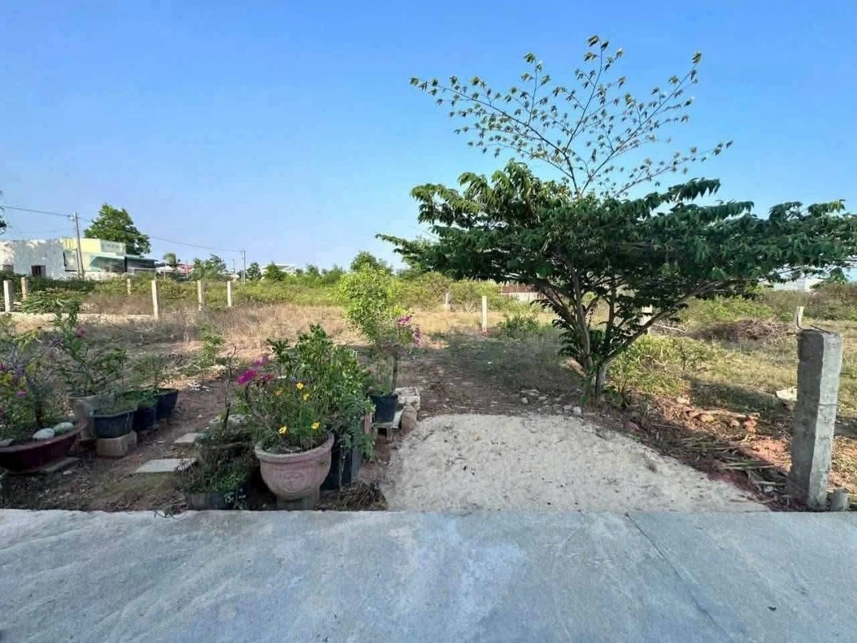 Bán đất thổ cư Hàm Thắng 137m² 1 tỷ - Ảnh thu nhỏ 2