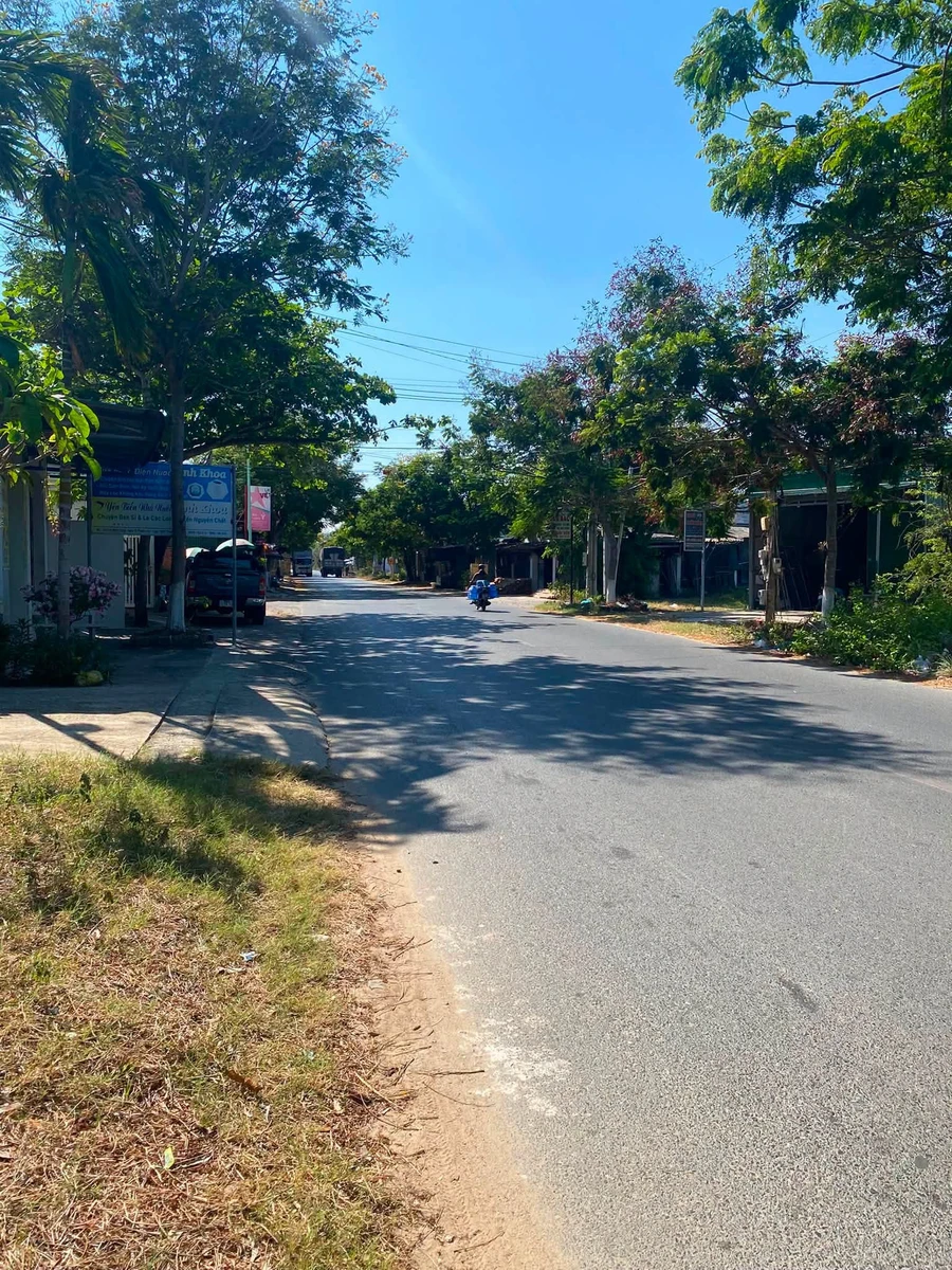 Bán đất mặt tiền Lê Minh Công 100m² gần biển Lâm Đồng 2,5 tỷ - Ảnh thu nhỏ 2