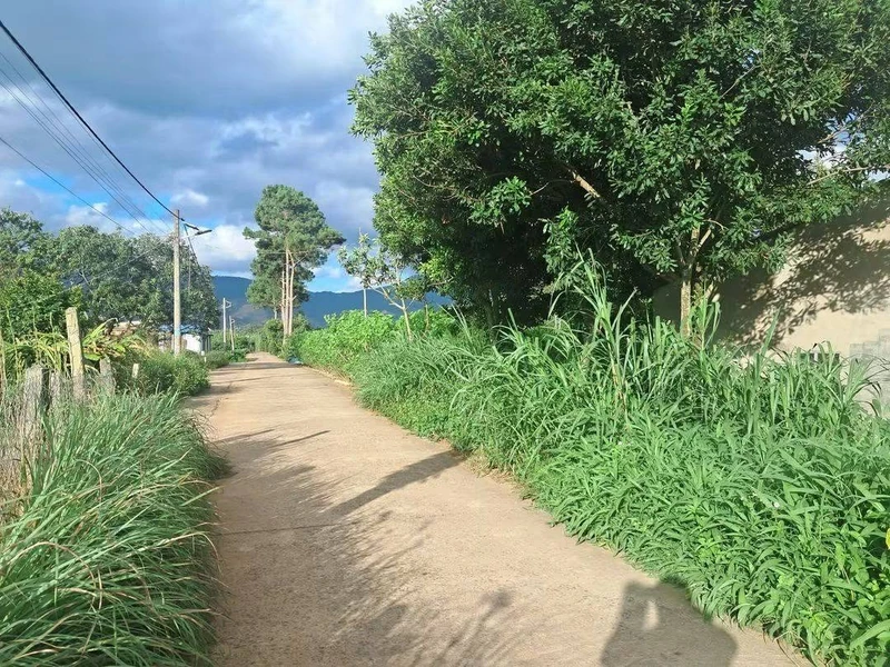 Bán đất Tiền Lâm Nam Ban 492m² mặt tiền 14m