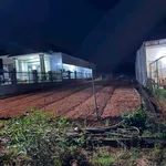 Bán lô đất 15.000m² Đắk Nông giá 1 tỷ 350 triệu - Ảnh thu nhỏ 3