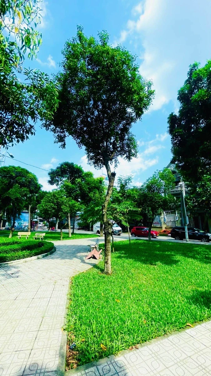 Bán nhà 4 tầng 80m² 4 phòng ngủ Nguyễn Văn Khối Gò Vấp - Ảnh thu nhỏ 5