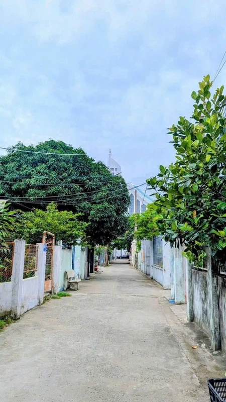 Bán đất Tân Tây Thạnh, Long An, 30.452 m², 4.5 tỷ 5x28m2