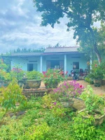 Chú Tám cần bán đất vườn trái cây sẵn nhà cấp 4 ở Bình Dương, rộng 2541m2, thổ cư, giá rẻ 680tr - Ảnh thu nhỏ 4