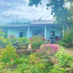 Chú Tám cần bán đất vườn trái cây sẵn nhà cấp 4 ở Bình Dương, rộng 2541m2, thổ cư, giá rẻ 680tr - Ảnh thu nhỏ 4